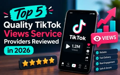 Top 5 Quality TikTok Views Service Providers